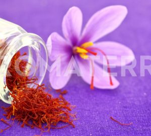 šafran lijek za depresiju