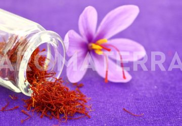 šafran lijek za depresiju