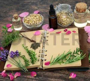 aromaterapija pristupi i škole