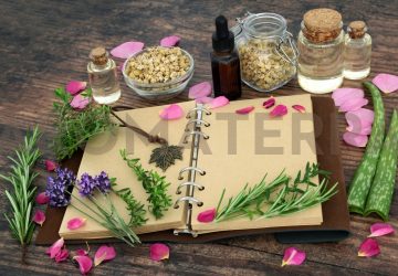 aromaterapija pristupi i škole